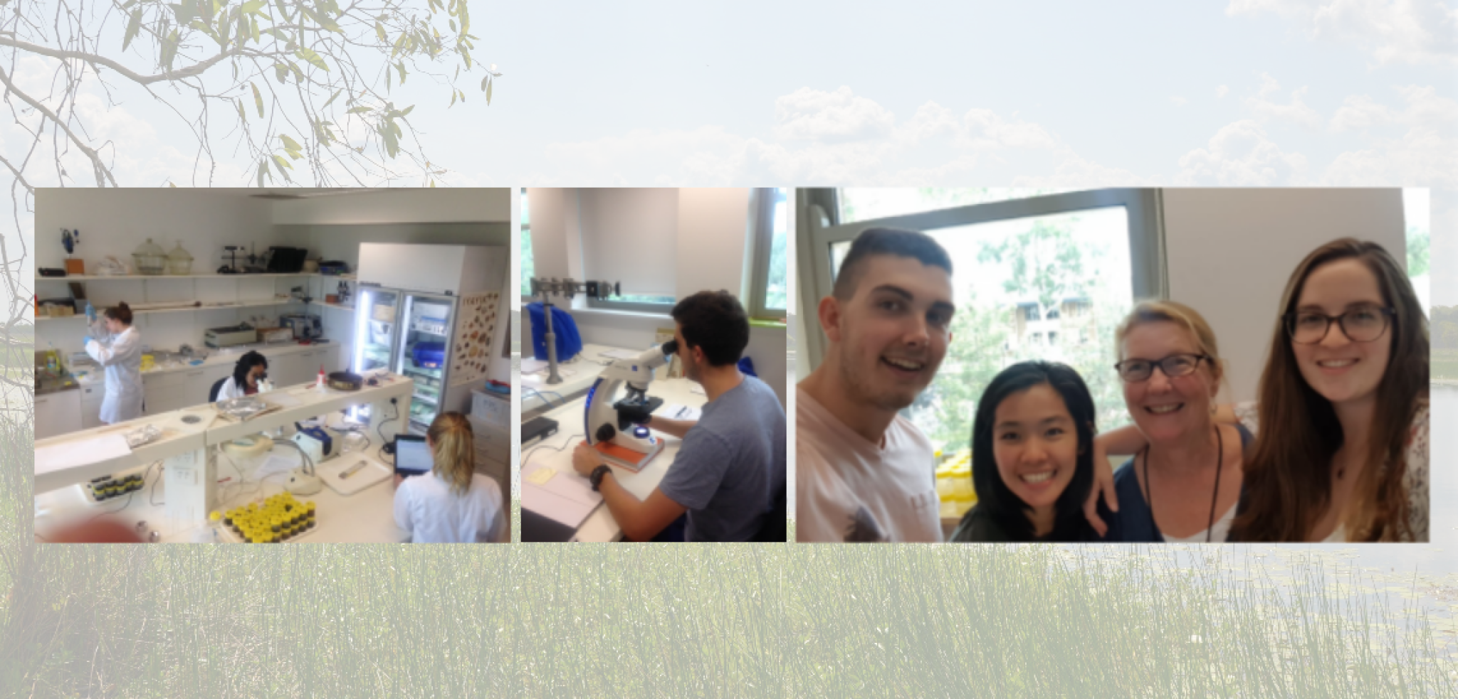 Palaeoworks Internship