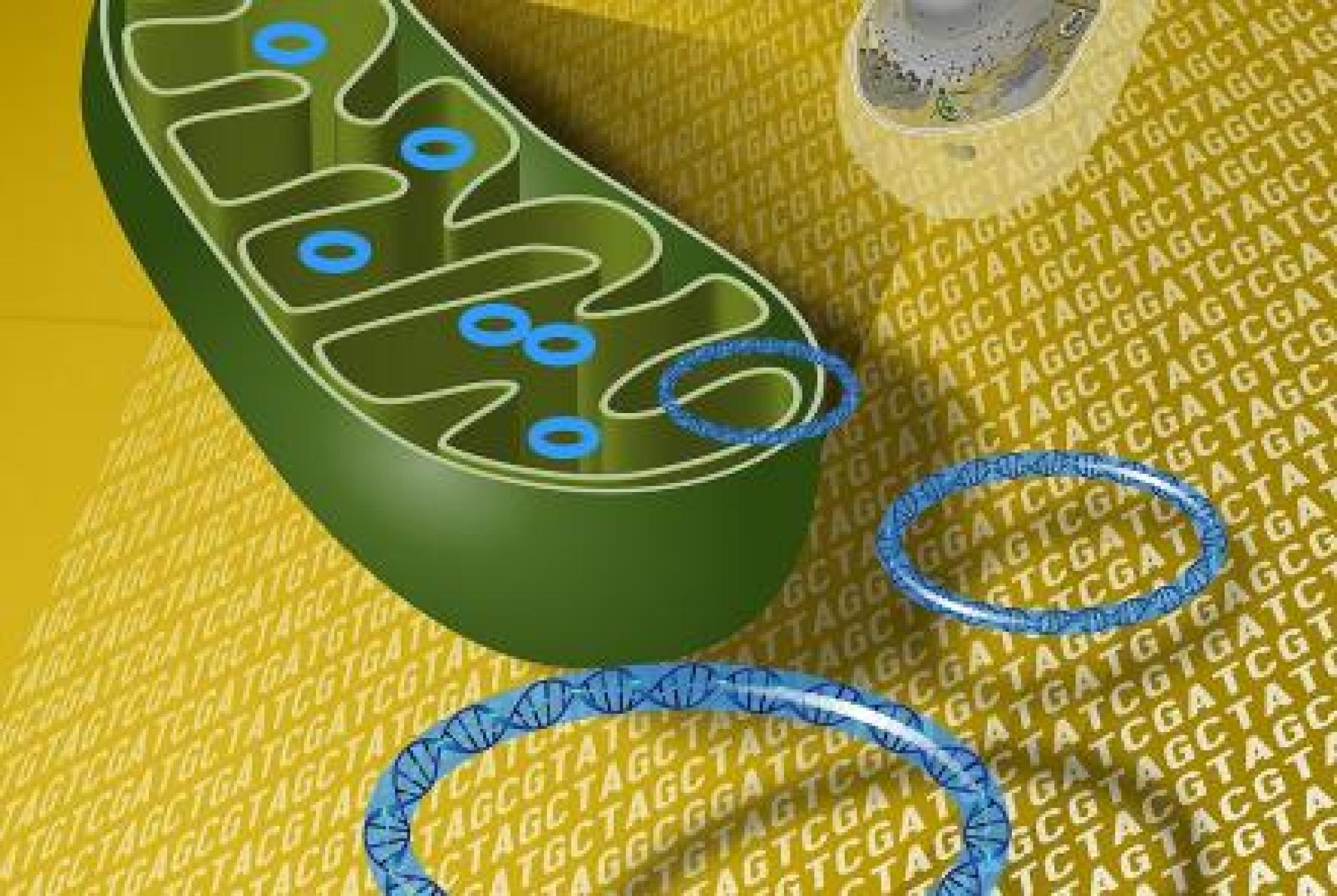 Image credit: National Human Genome Research Institute (NHGRI) from Bethesda, MD, USA, CC BY 2.0 via Wikimedia Commons