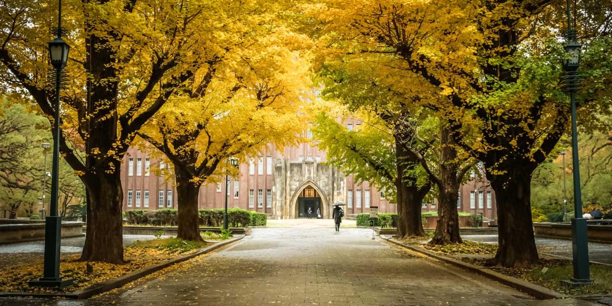 A workshop on Global Asia, Tokyo University, ANU Japan Insititute.jpg