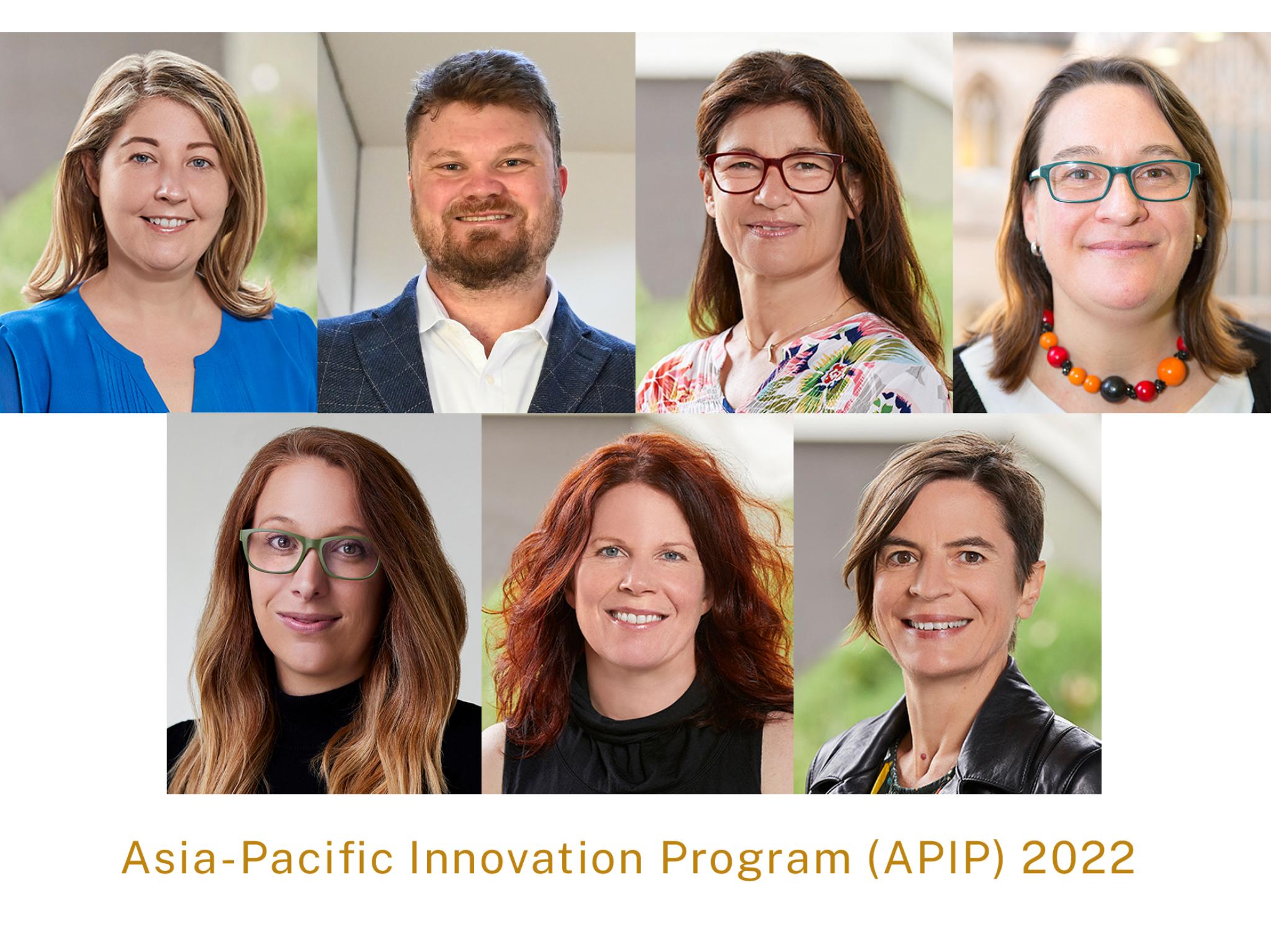 APIP 2022