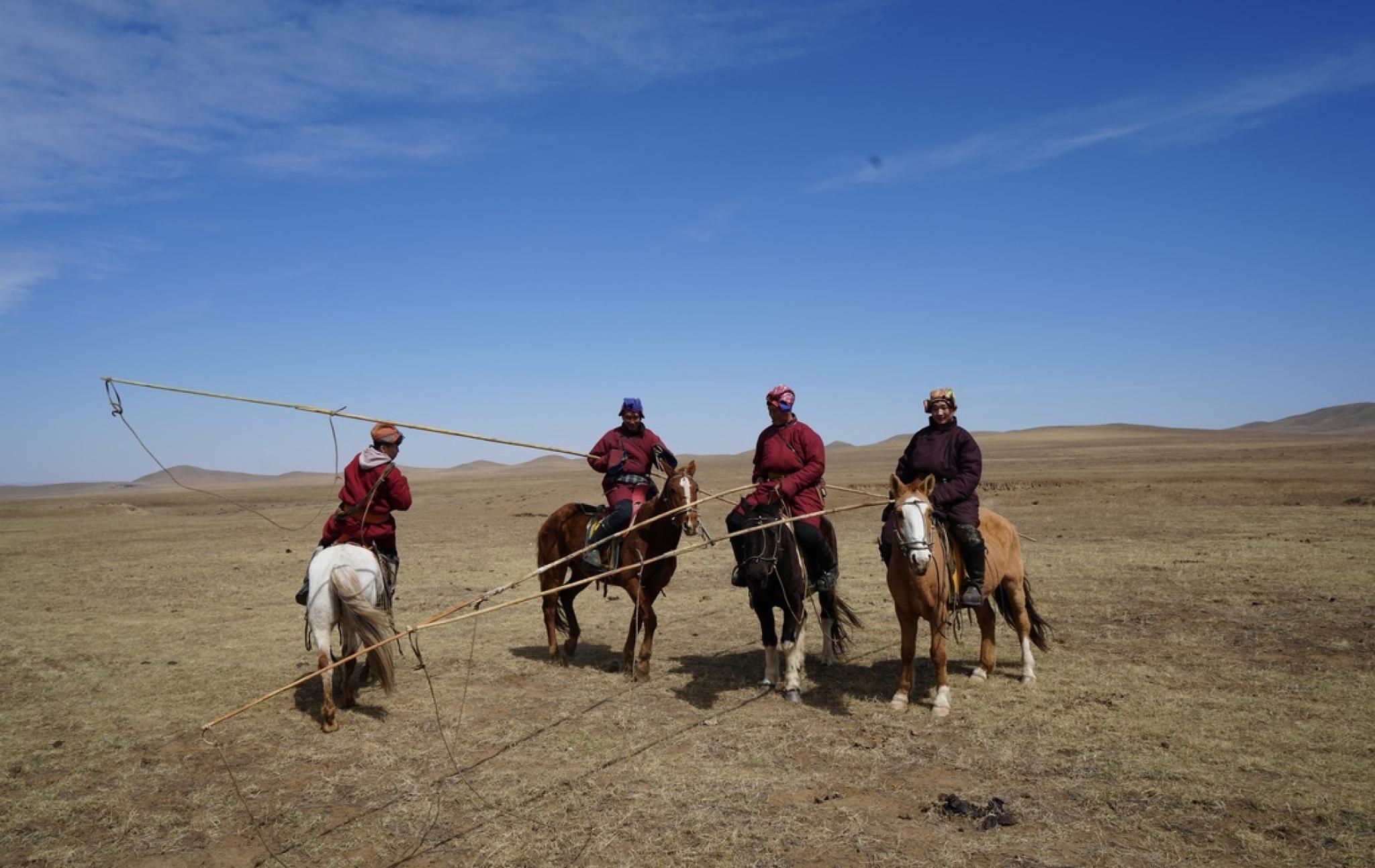 Horse riders in grassland