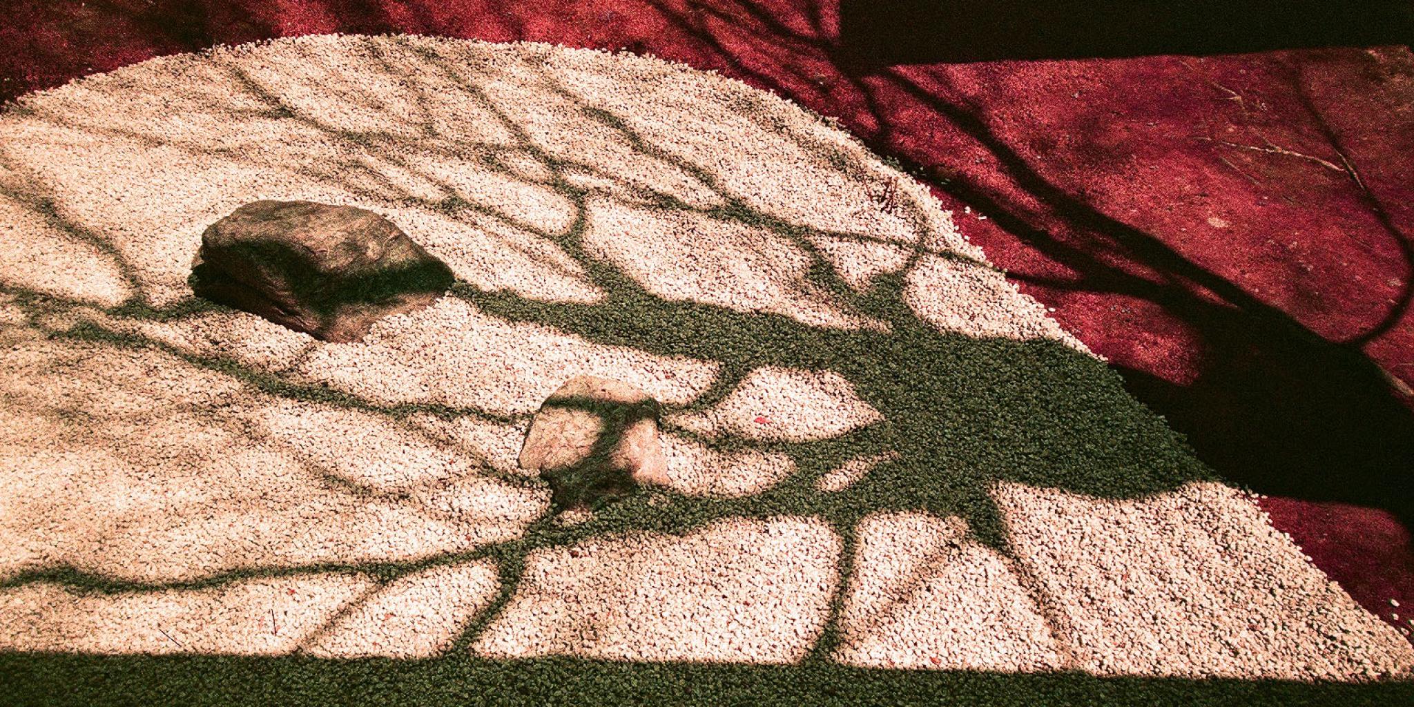 Tree shadow on japanese rocks