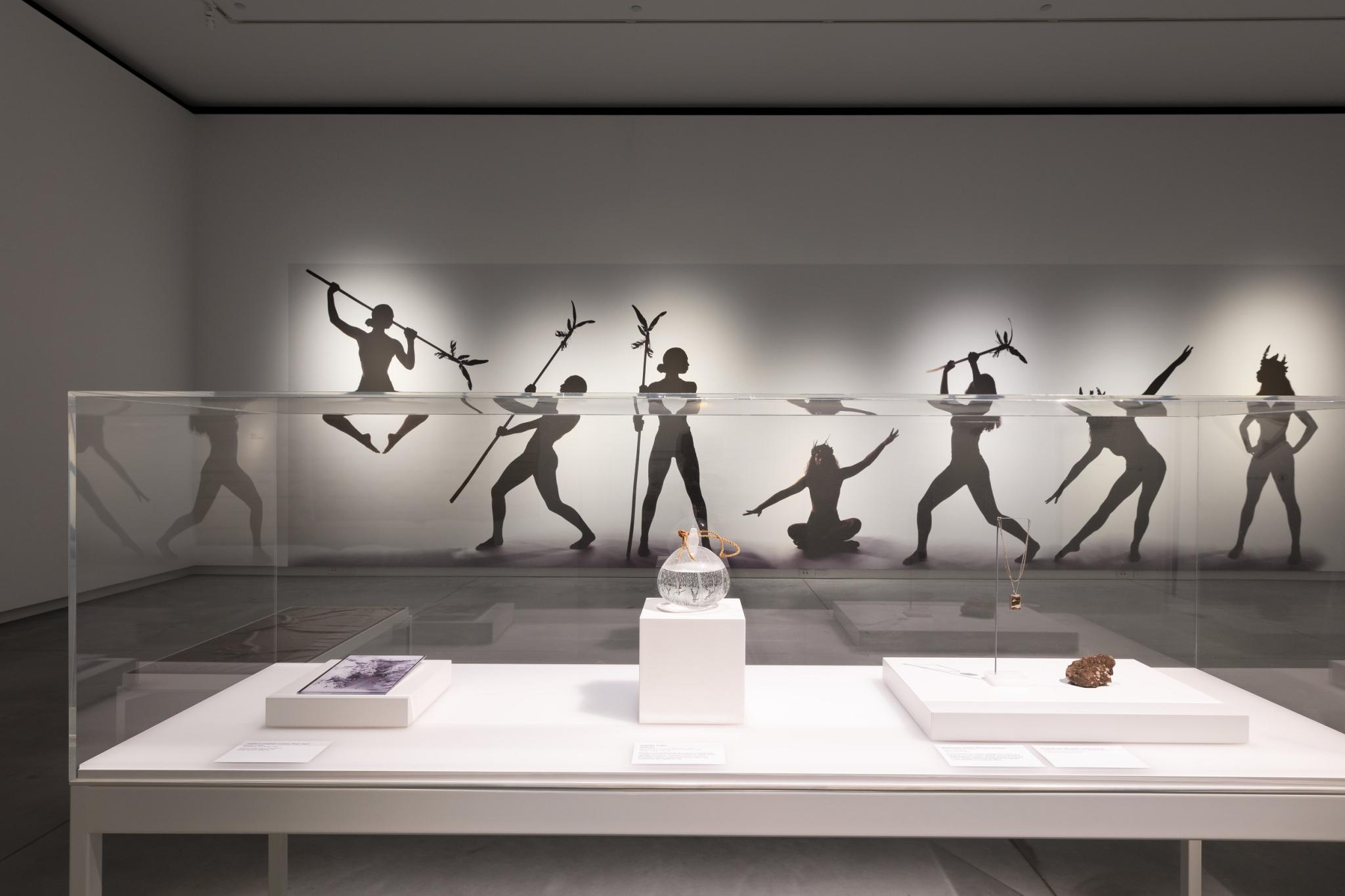 Views of the Installation