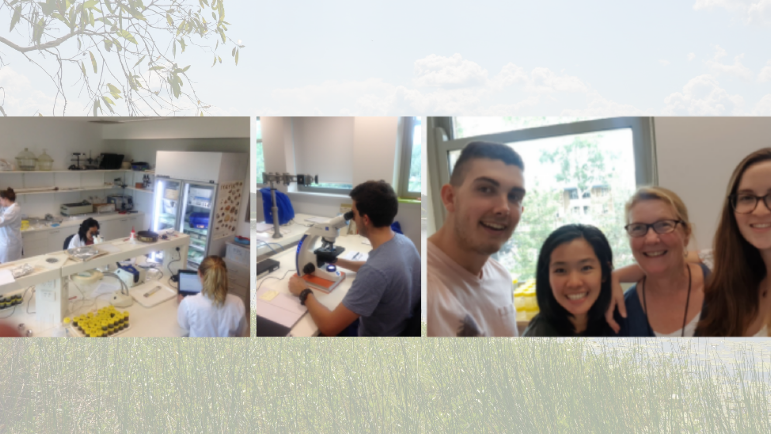 Palaeoworks Internship Palaeoworks Internship