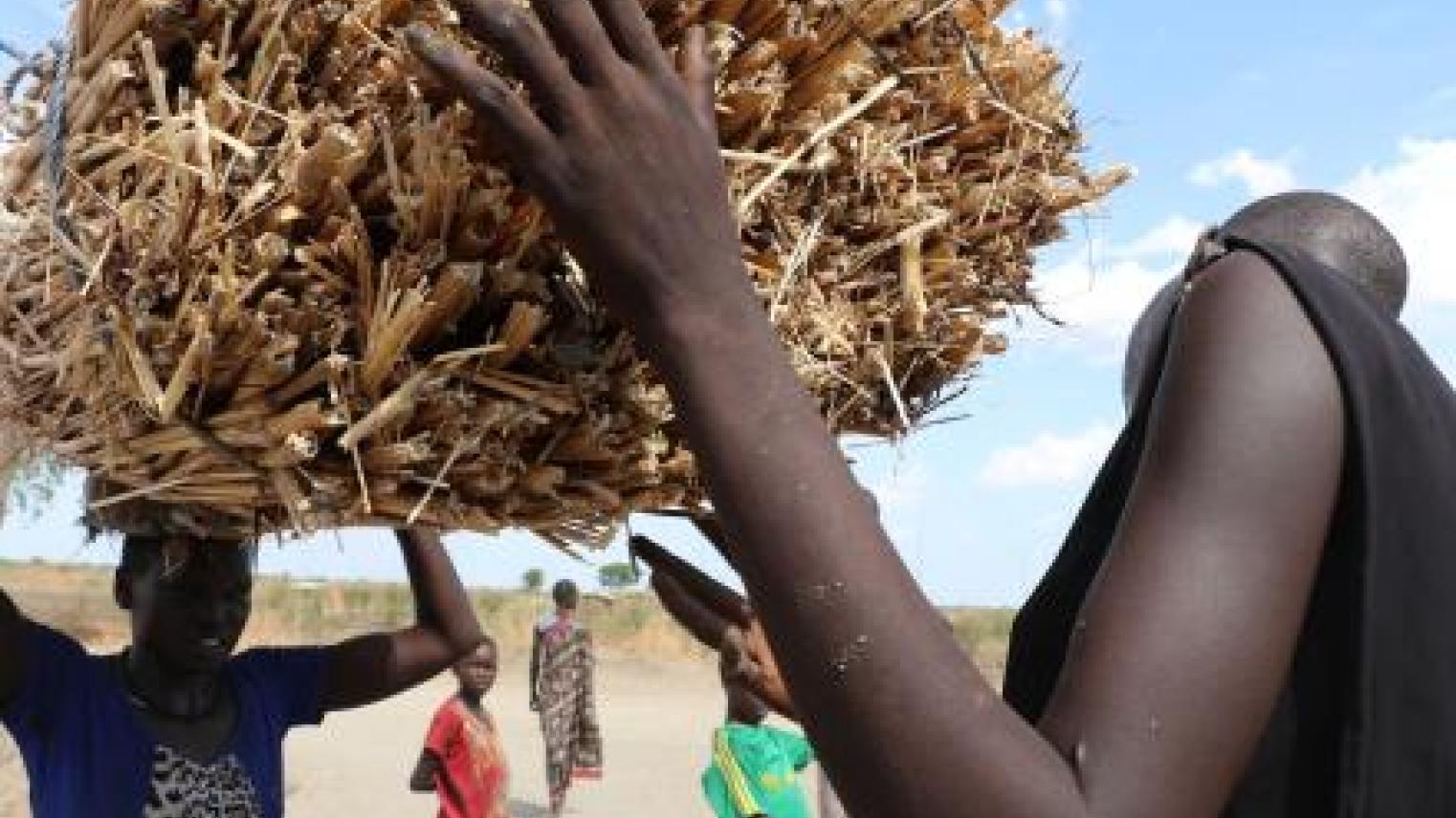 Image credit: Sexual violence haunts displaced people in South Sudan by EU Civil Protection and Humanitarian Aid on Flickr (CC BY-NC-ND 2.0).