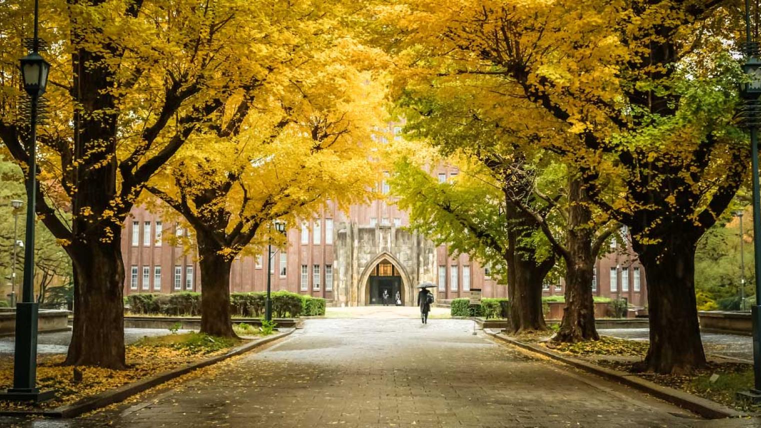 Tokyo University A workshop on Global Asia, Tokyo University, ANU Japan Insititute.jpg